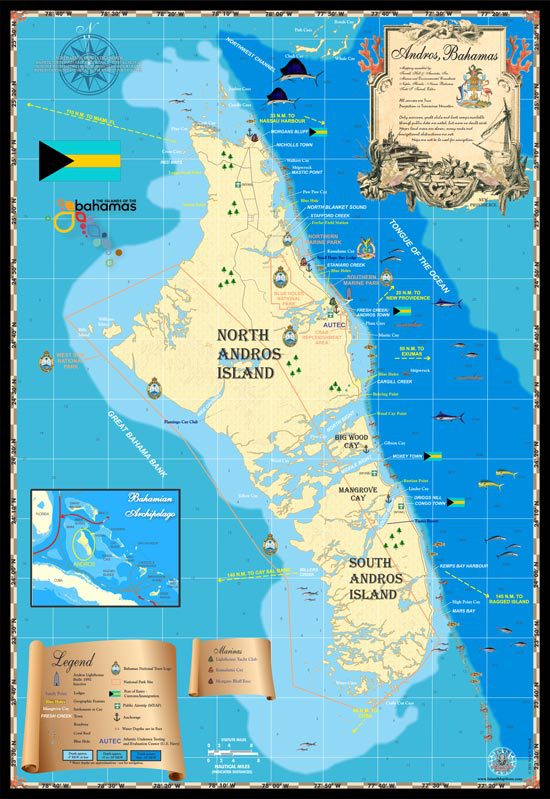 The map of Andros. Andros is the largest island in the Bahamas at 2,300 square miles, stretching for some 100 miles from north to south.