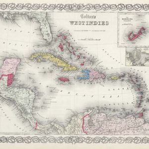 Antique reproduction - 1865 Colton Map