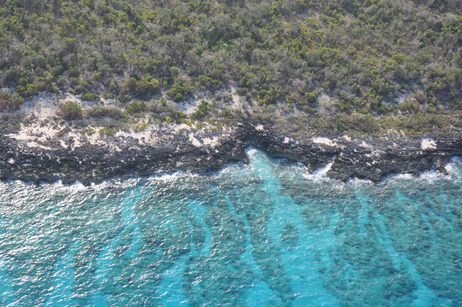 A Brief History of Great Inagua | Island Map Publishing